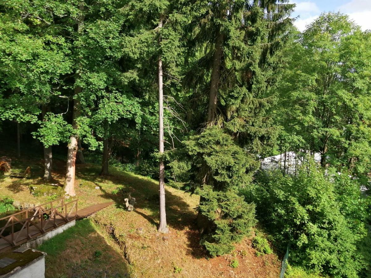 Parkhotel Forest Marianske Lazne Exterior photo